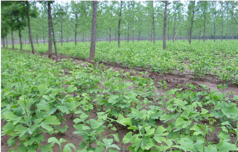 14698111128321806 14698111128321806