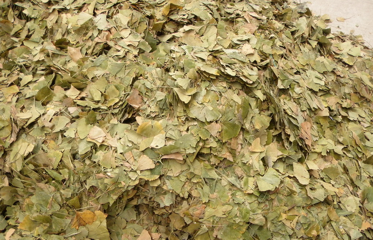 14698112779296568 14698112779296568